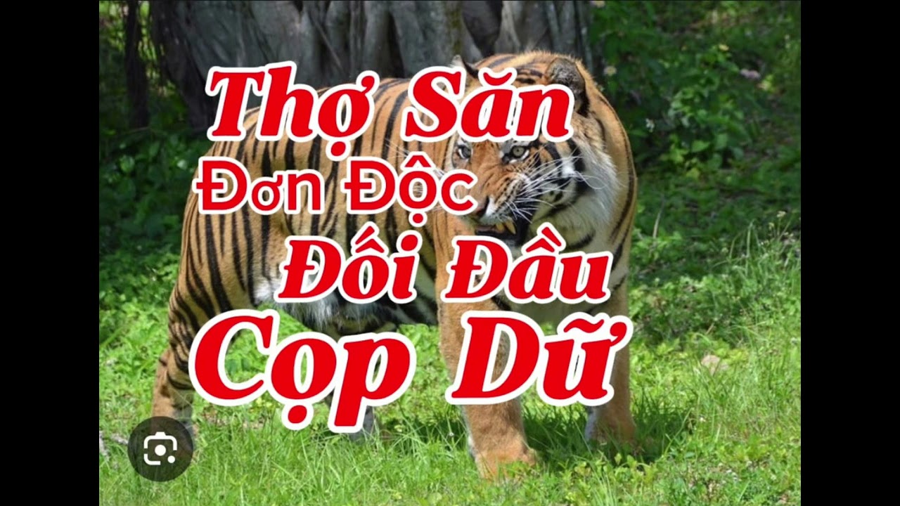 THỢ SĂN ĐƠN ĐỘC ĐỐI ĐẦU CỌP DỮ | L&ecirc; Anh diễn đọc