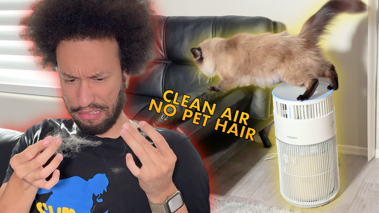 WISESKY W-Cat Air Purifier for Pet Owners | @wiseskyofficial