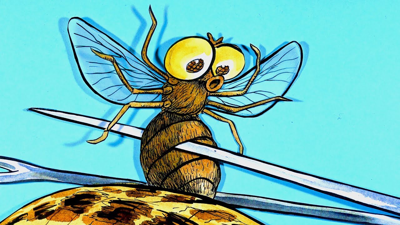 Пытки для мух: рыцарский турнир