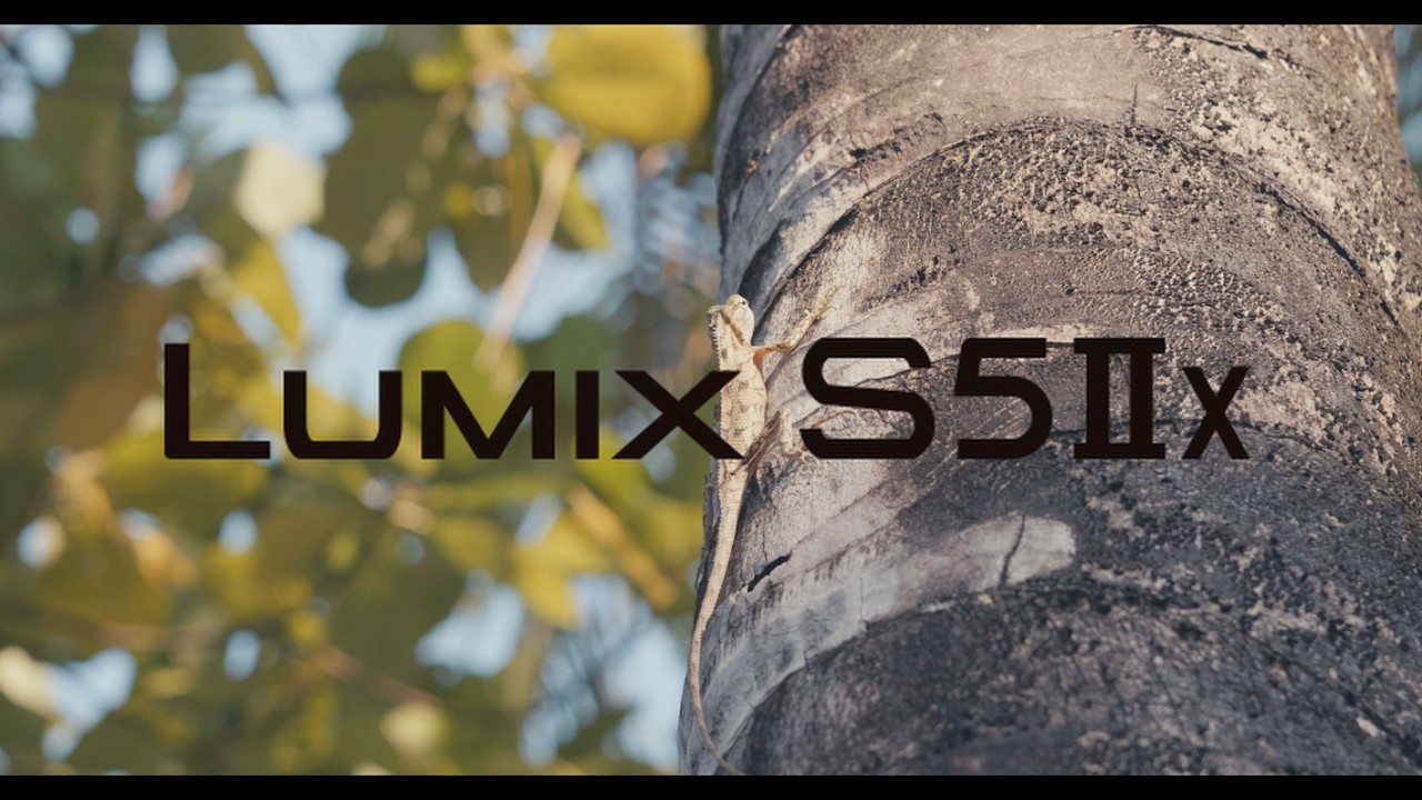 LUMIX S5IIX 4K V-Log 10-bit 4:2:2 Cinematic Mastery | Sigma 28-70mm f/2.8 DG DN | Maldives Paradise