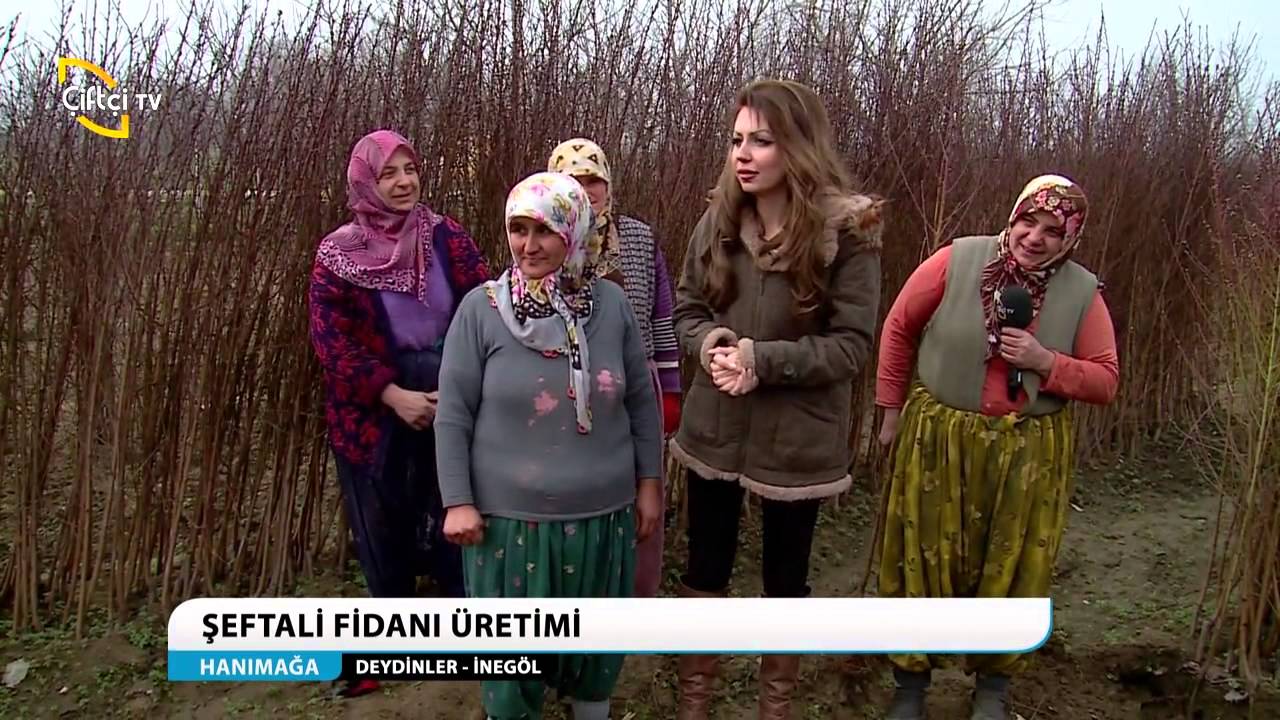 HANIMAĞA - DEYDİNLER - İNEGÖL BURSA