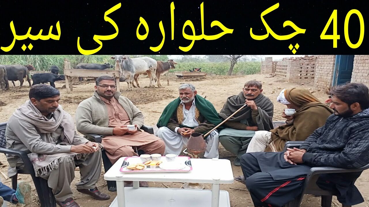 Visiting chak no 40 jb Halwara Faisalabad