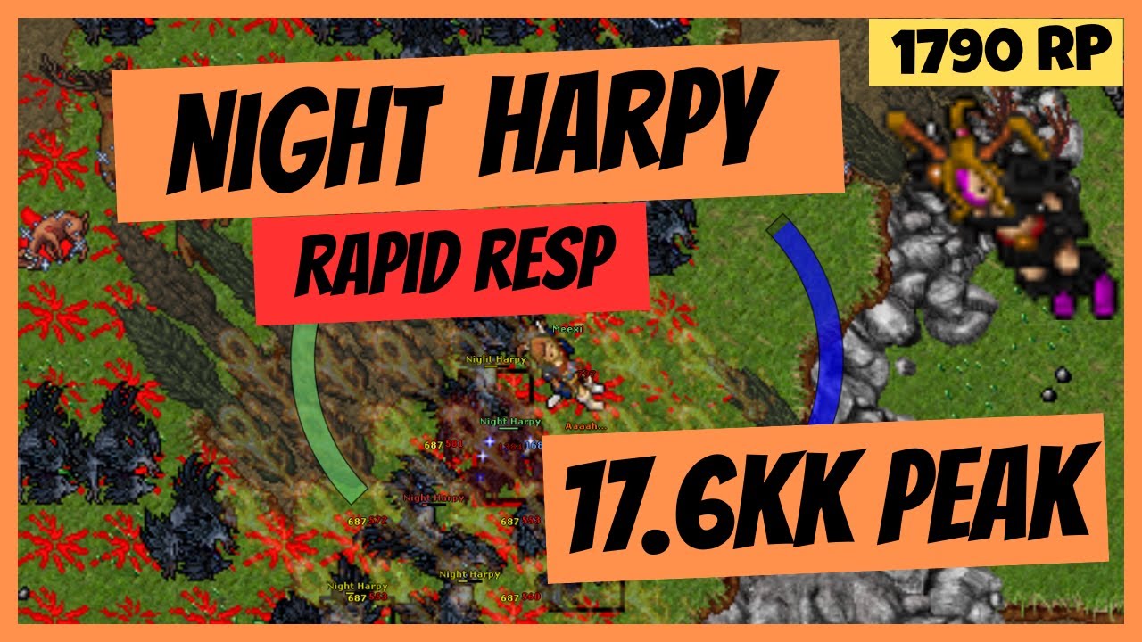 Night Harpy - Rapid respawn - 17.6kk raw peak | 1700 Paladin Tibia Gameplay