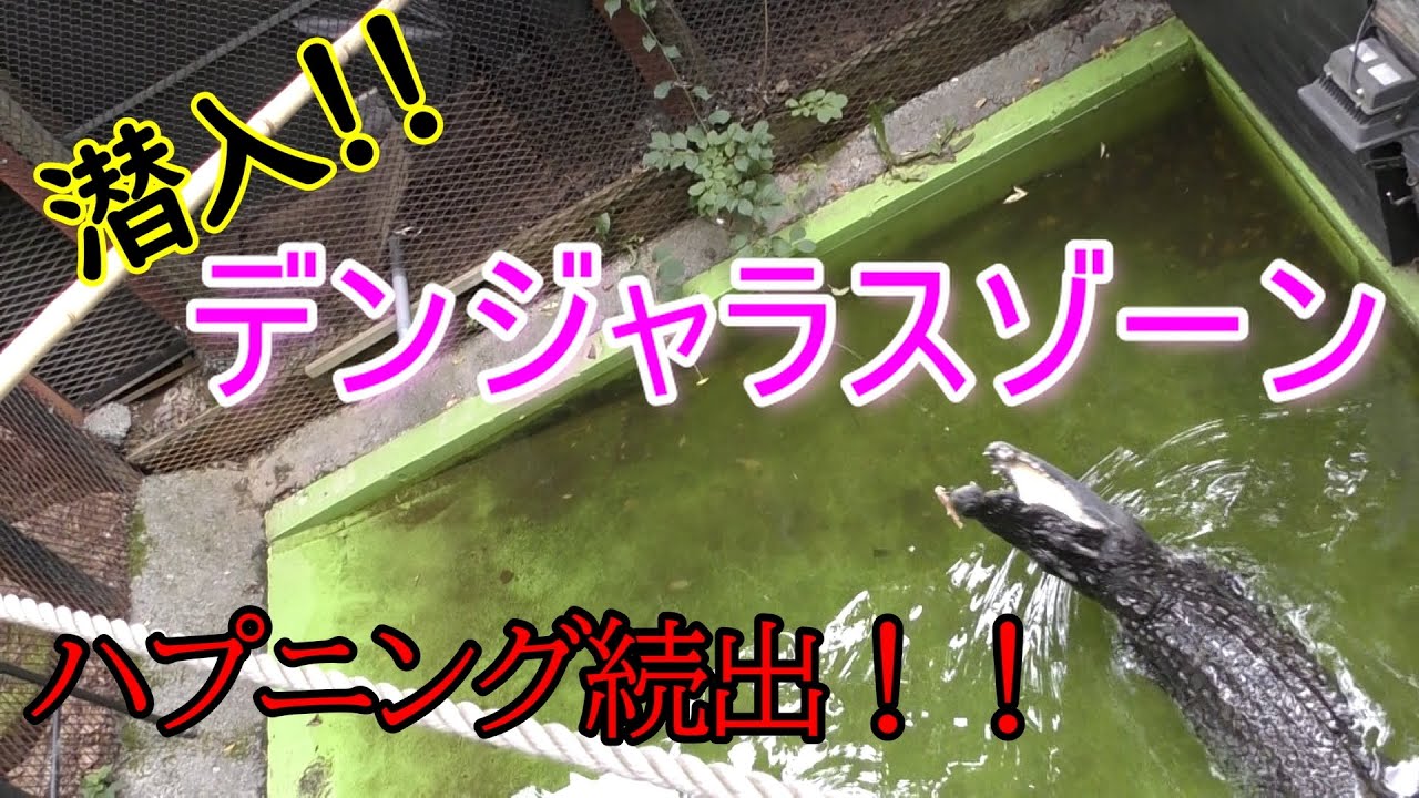 【閲覧注意】ノースサファリサッポロ！潜入デンジャラスゾーン！