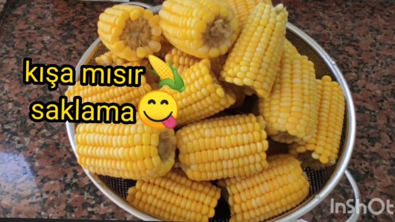 Dondurucuda mısır nasıl saklanır? Kışa hazırlık : Mısır saklama yöntemleri