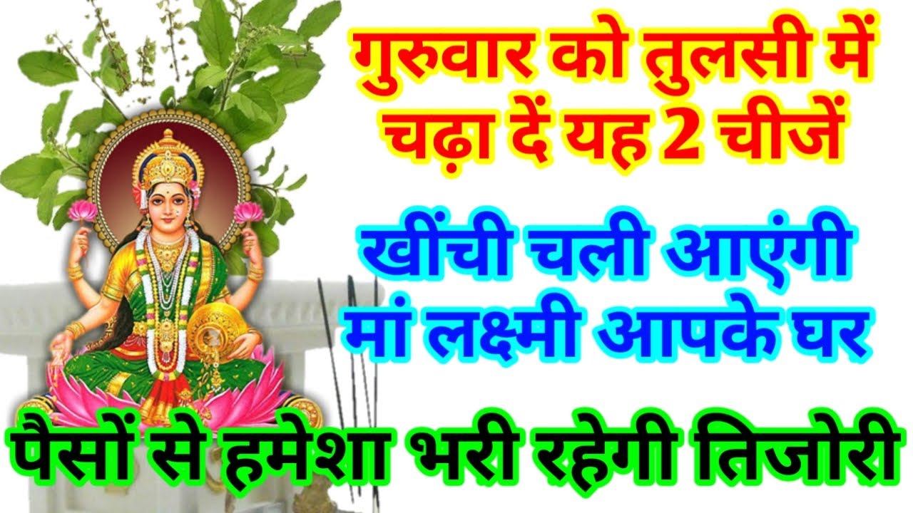 गुरुवार को तुलसी में चढ़ा दें ये दो चीजें खींची चली आएंगी मां लक्ष्मी | गुरुवार को तुलसी पूजा |Tulsi