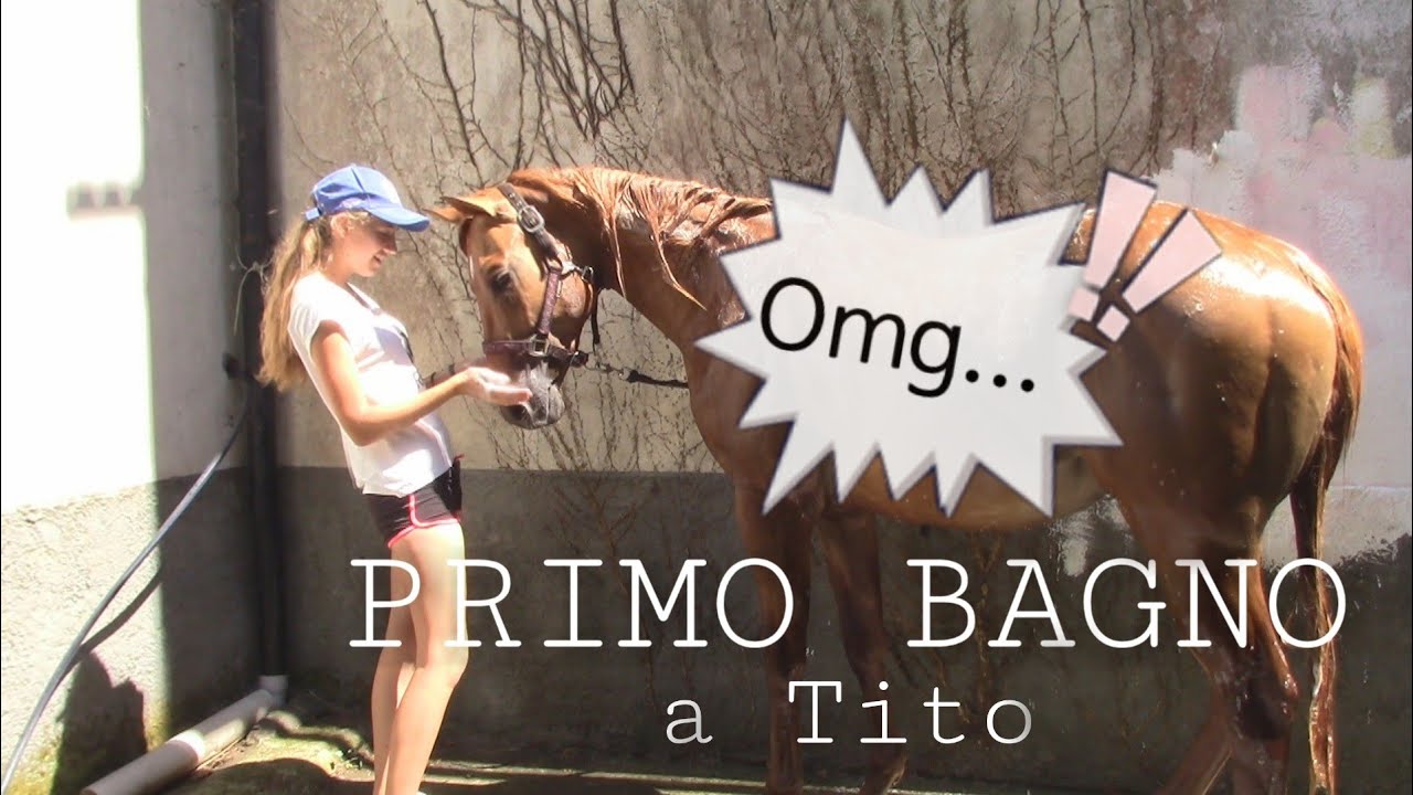 PRIMO BAGNO AL MIO PULEDRO | VLOG |  Sara Aventino