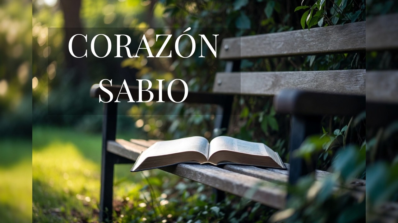 Proverbios 17 | El Valor de la Sabiduría y la Paz | Luz en la Palabra