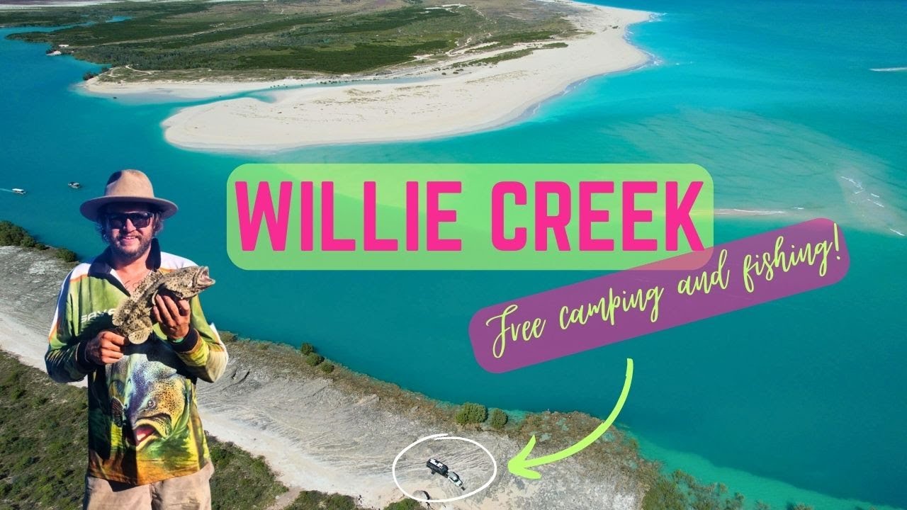 FREE CAMPING & FISHING at WILLIE CREEK!