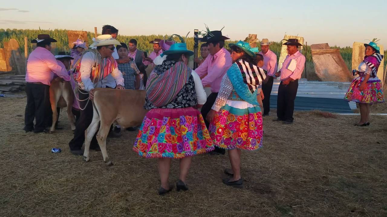 Huanza mlivia  661