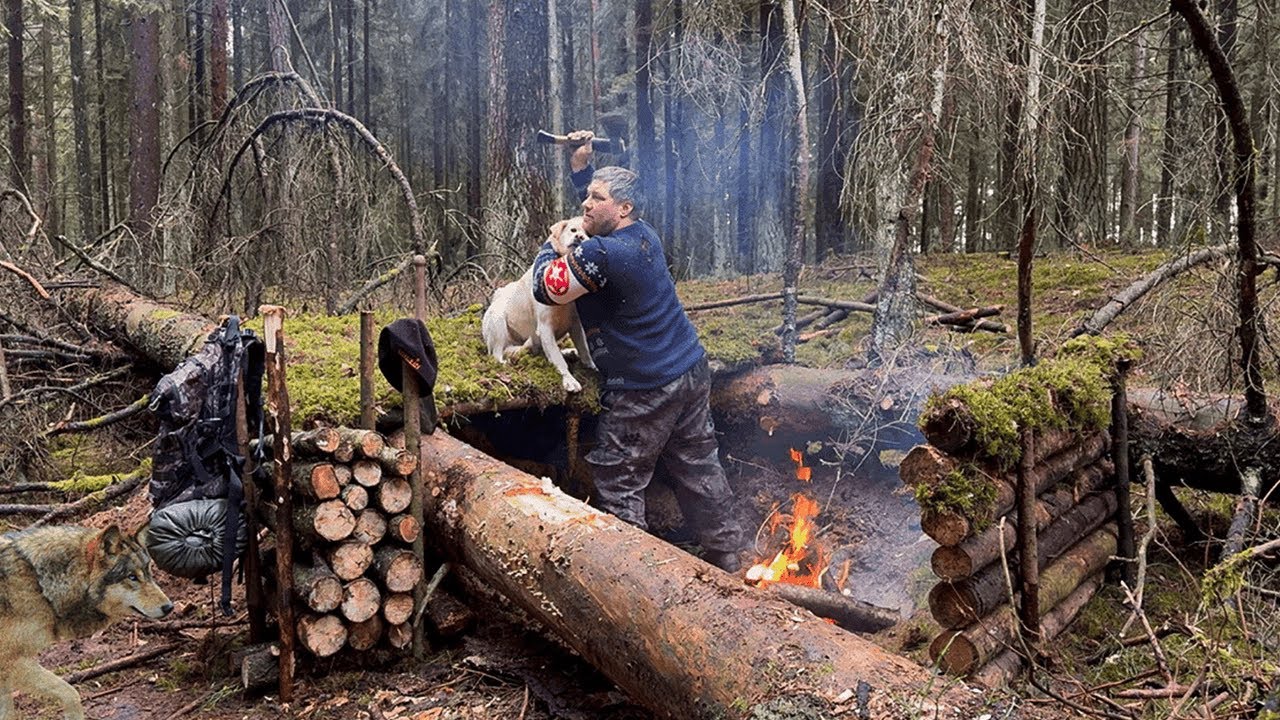 A PACK OF WOLVES ATTACKED MY SHELTER! 3 DAYS IN THE WILD FOREST WITHOUT CONNECTION WITH CIVILIZATION