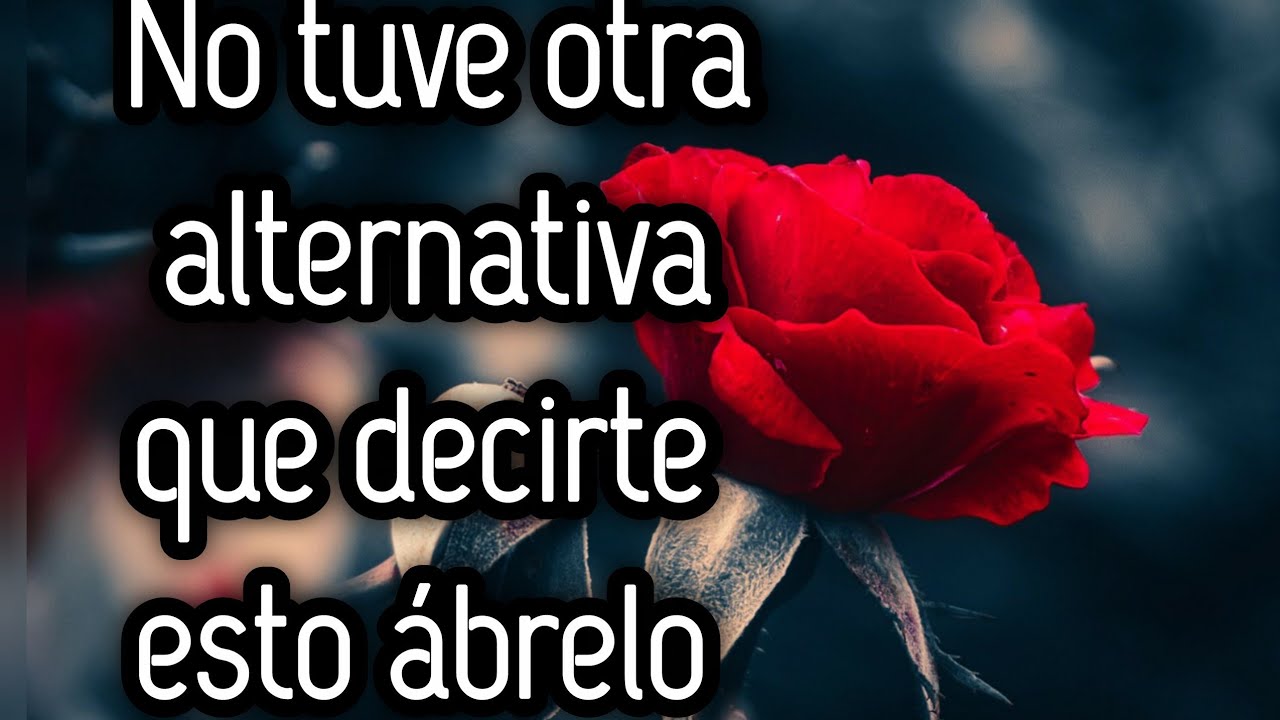 No tuve otra alternativa que decirte esto ábrelo 