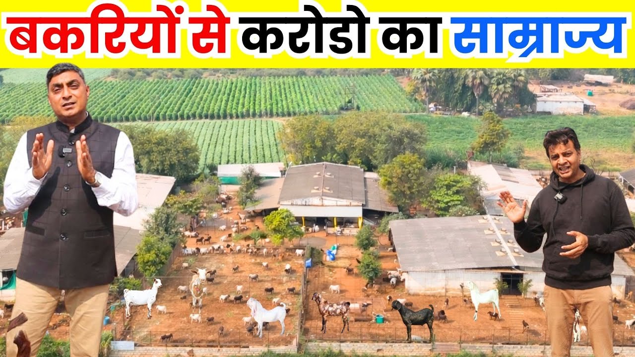 26 साल सफलता के, ऐसे शुरू करे बकरी पालन II Goat Farming Business II Bakri Palan II Goat Farm