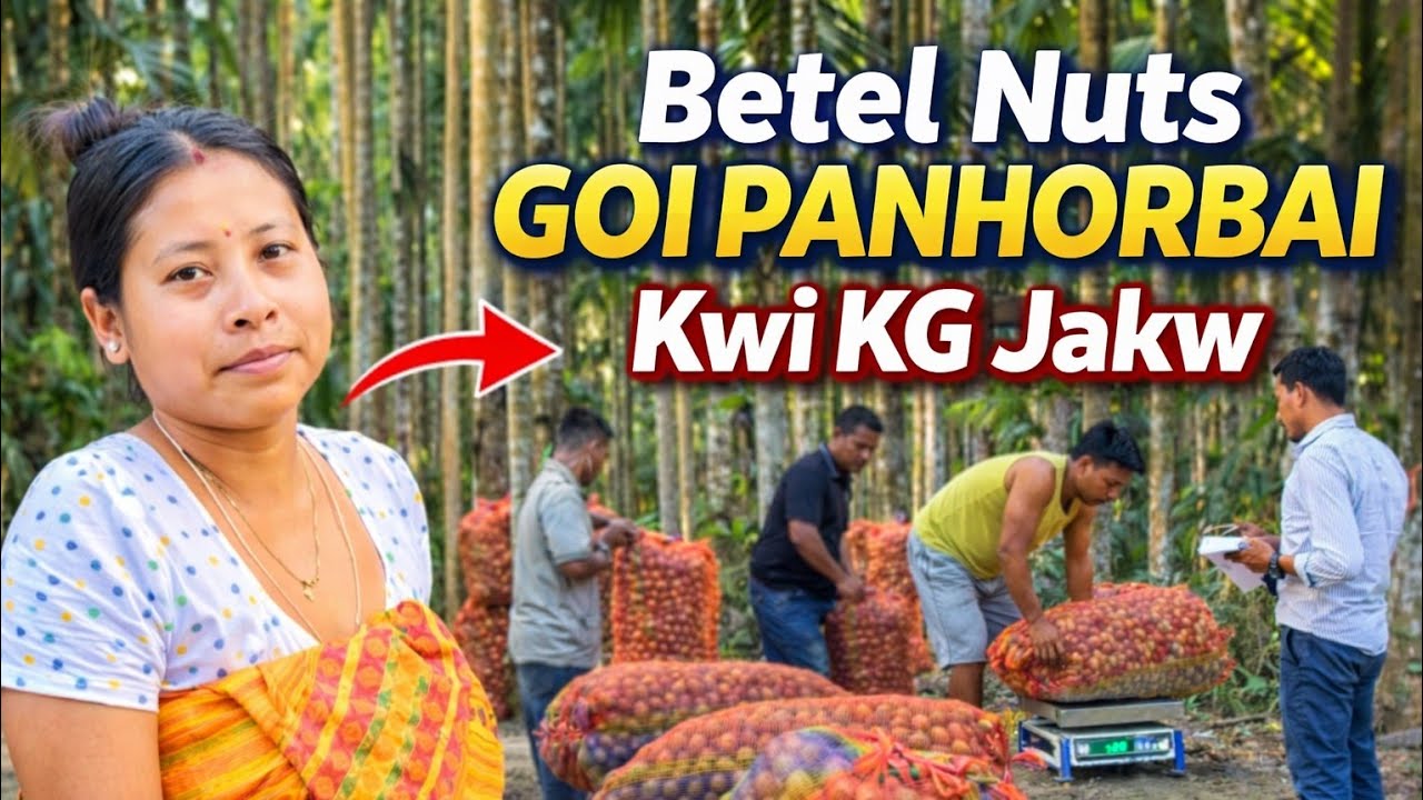 Betel Nuts Goi Panhorbai Kwi KG Jakw Naidw Lwgwpwr 🤑😍@dwimubasumatary6647 