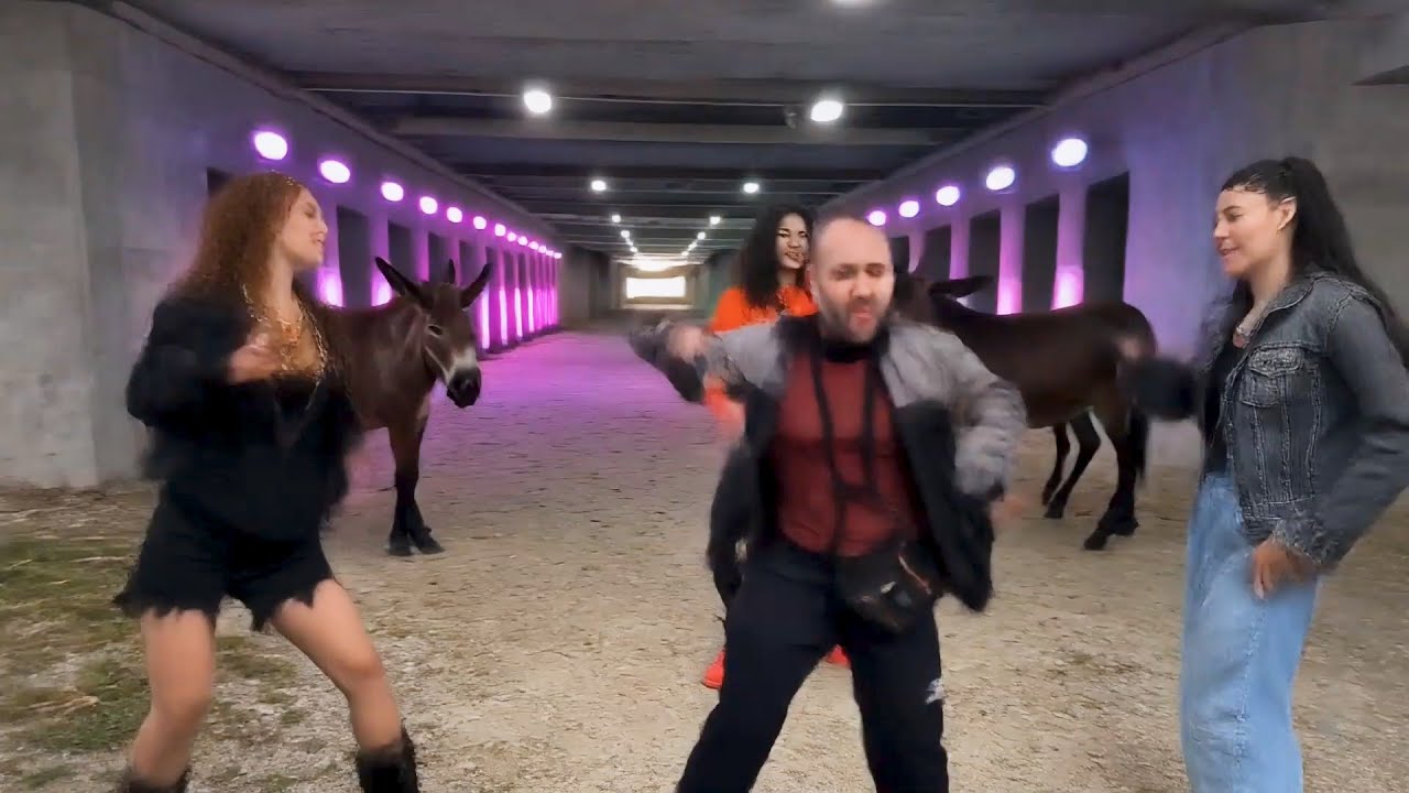 Donkey on the Mic - Official Hip Hop Music Video - Beat Prod. by Victor Giakoumatos