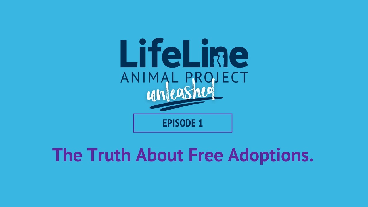 The Truth About Free Adoptions | LifeLine Unleashed