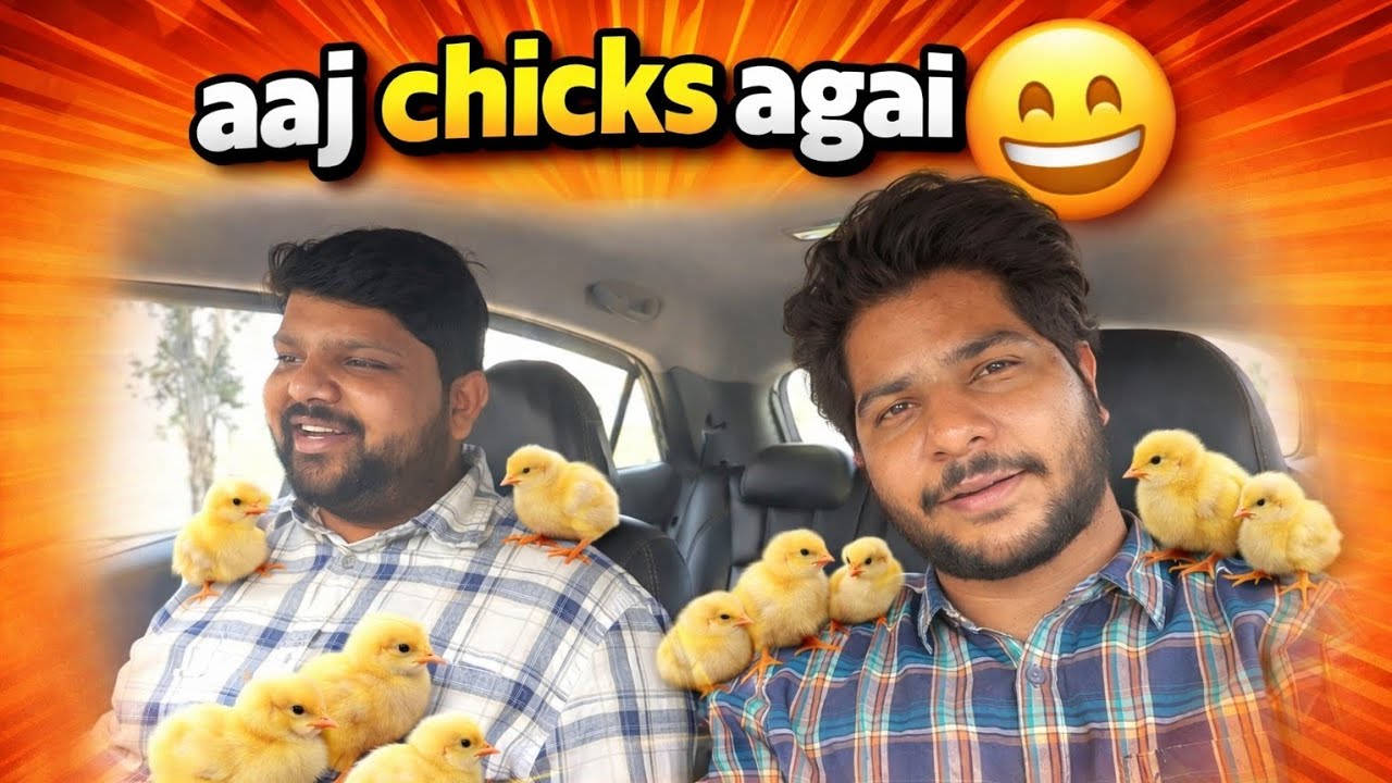 Aaj Farm Par Naye Chicks Aa Gaye! 🐥