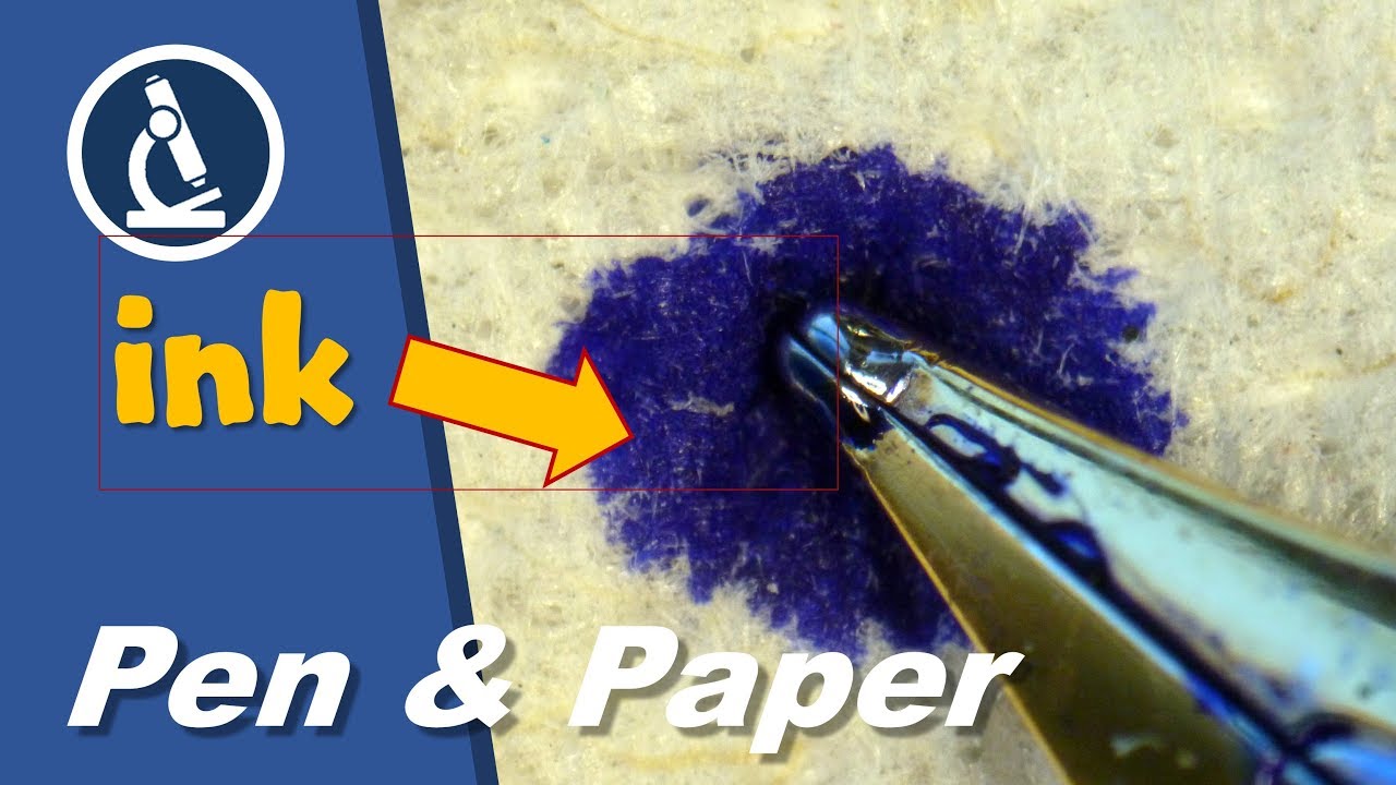 🔬 078 - Satisfying: Paper soaking up ink - looks nice | Microscopy