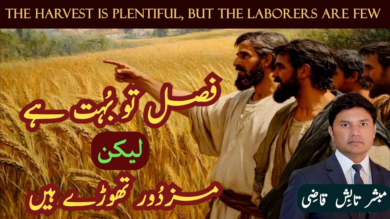 Harvest is plentiful, laborers are few | زیادہ فصل، تھوڑے مزدور | Urdu/Hindi Sermon | Tabish Qazi