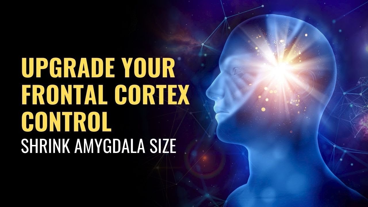 Shrink Amygdala Size | Upgrade Your Frontal Cortex Control | Overcome Fear Response and Anxiety