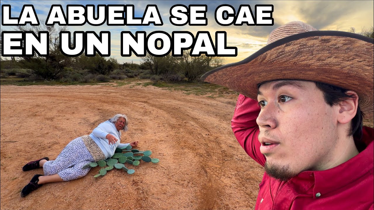 Cayó Sobre Un Nopal Y Gritaba De Dolor!