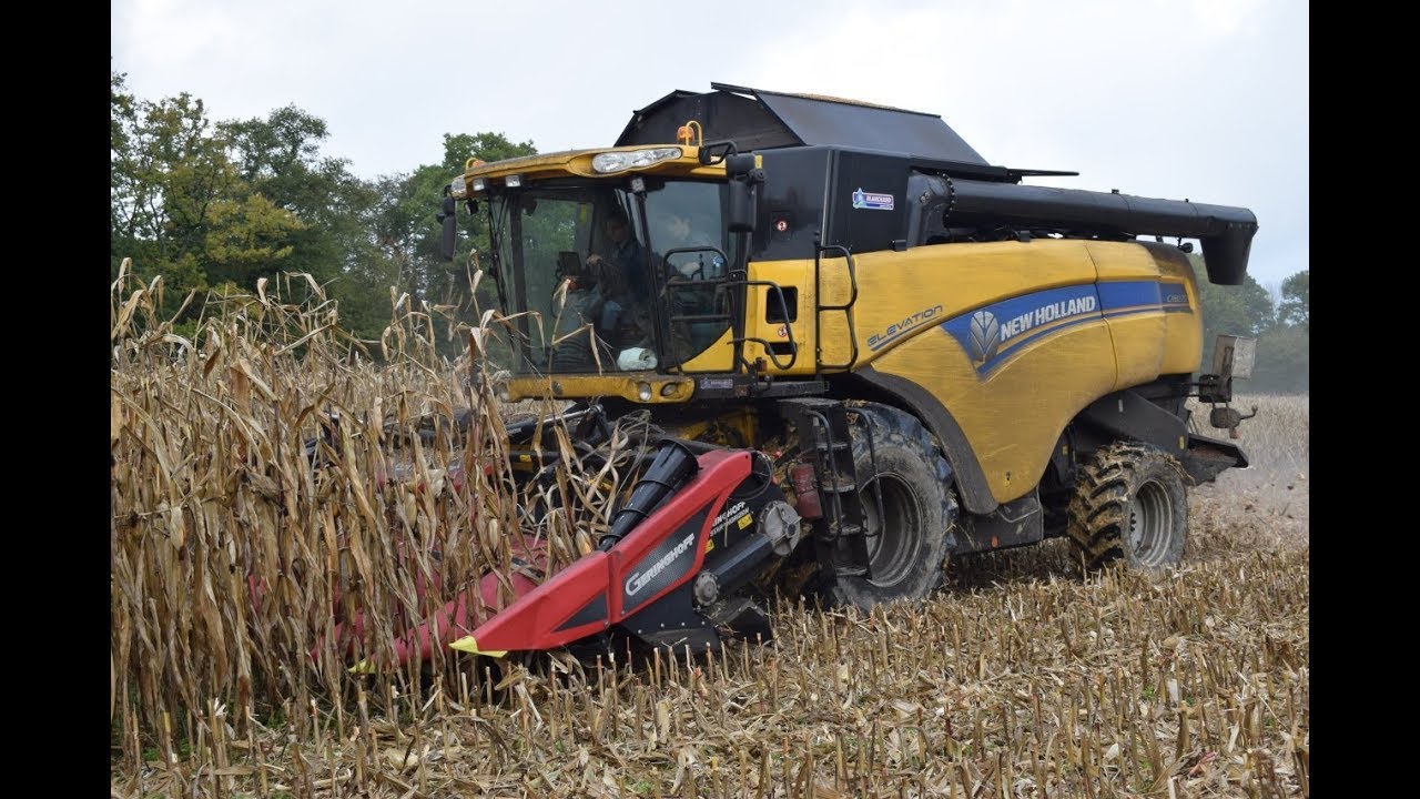 Moisson de maïs avec une New Holland CX 8070 !