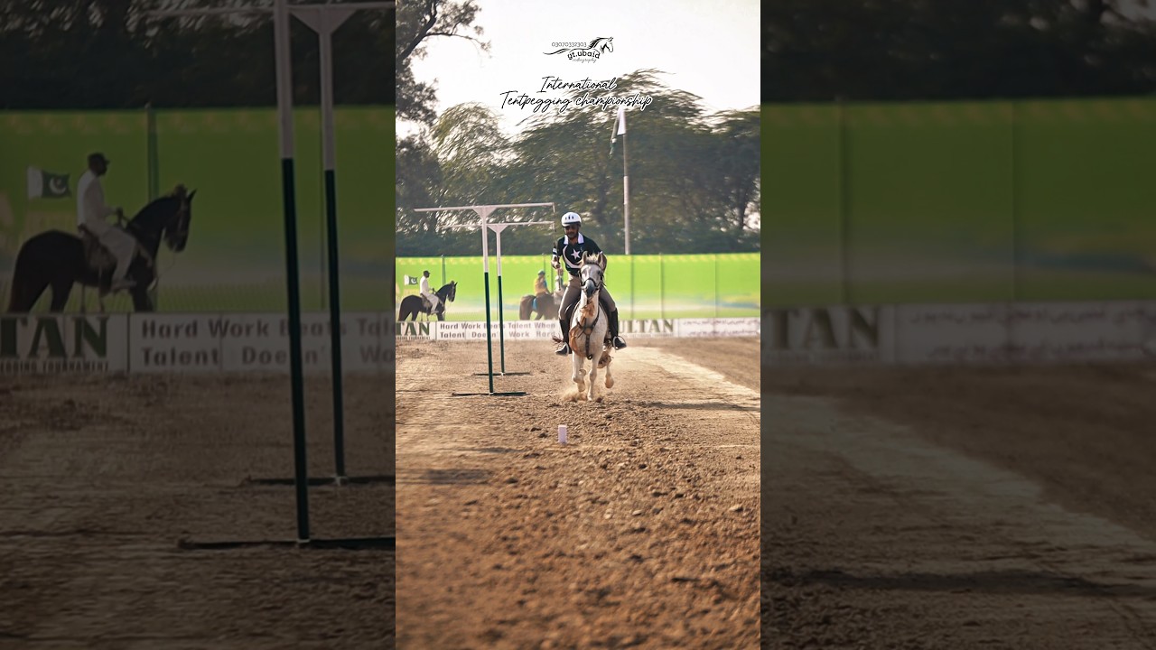 international tentpegging championship #horse #tentpegging #international #rider #ghoda