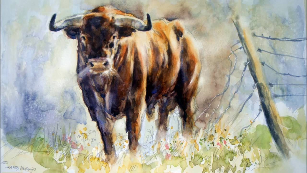 PAINTING BULLS-Watercolor- PINTANDO TOROS