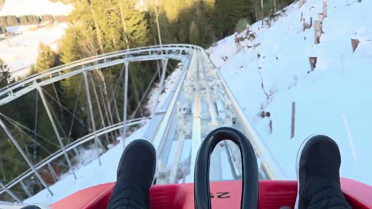 This Alpine Coaster Was Insane 😱🎢 #winter  #rollercoaster #fun #mountains