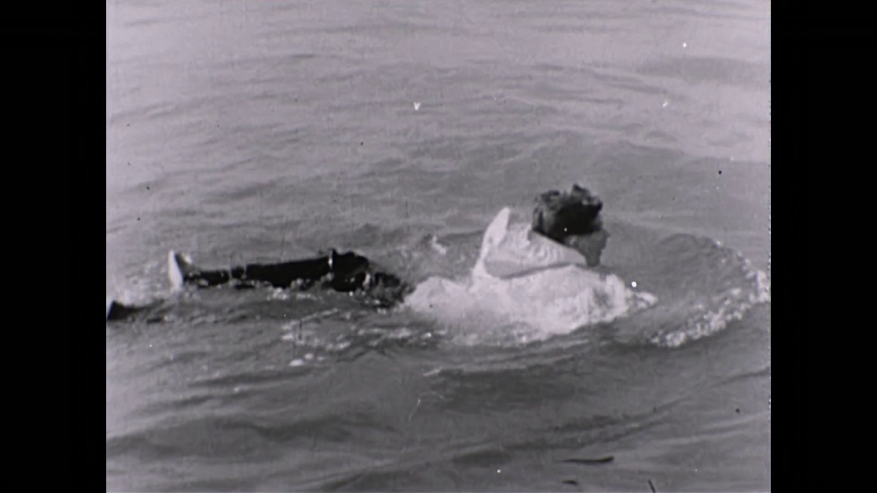 Life vest demonstration - swimming with bricks around you, 1950s, 60s?