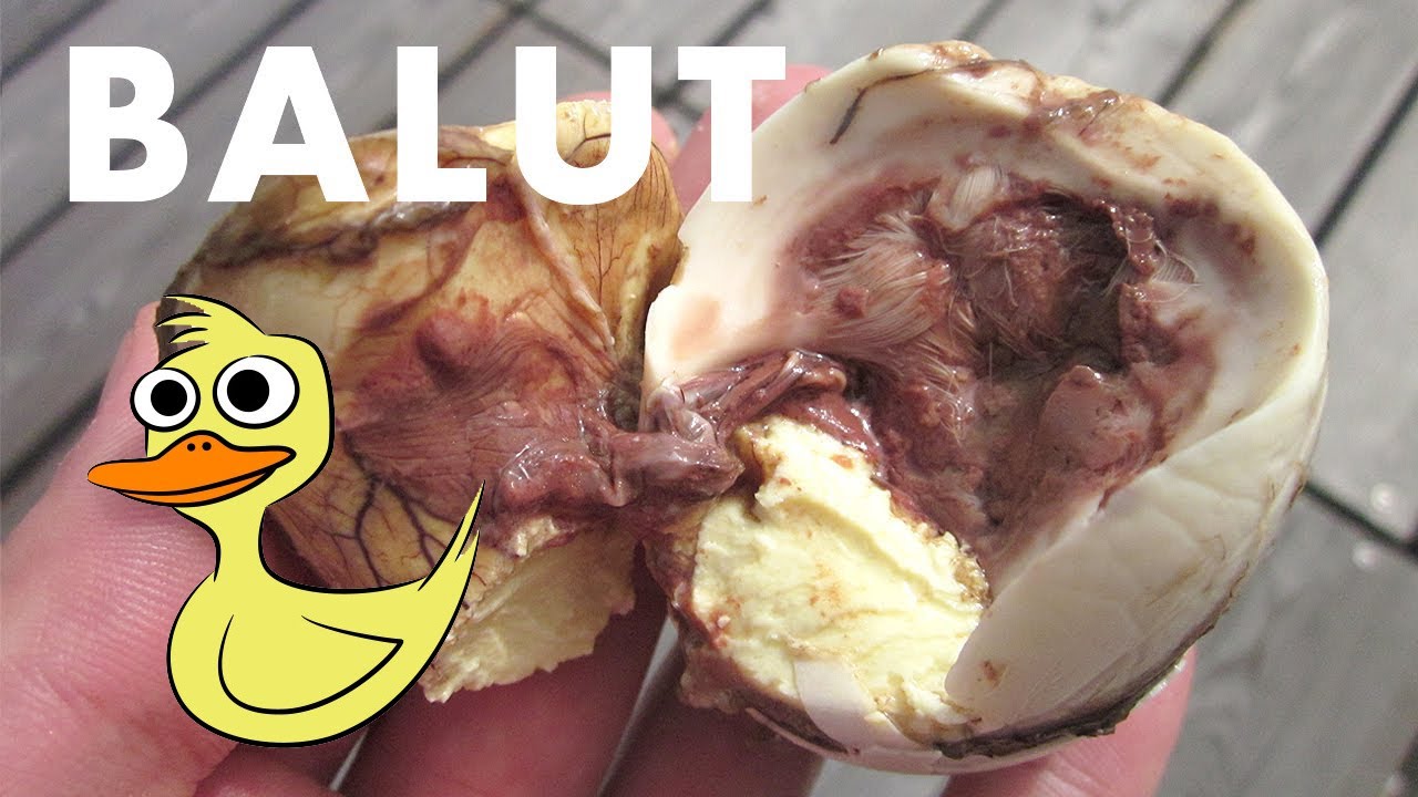 5# Balut - freakyfoodtv