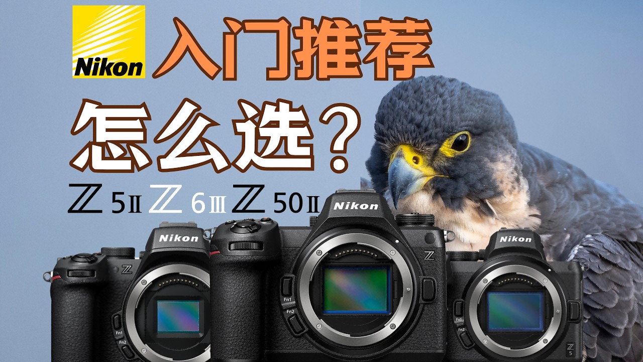 尼康佬的笑容由我来守护！入门尼康Z5ii Z50ii Z63怎么选？