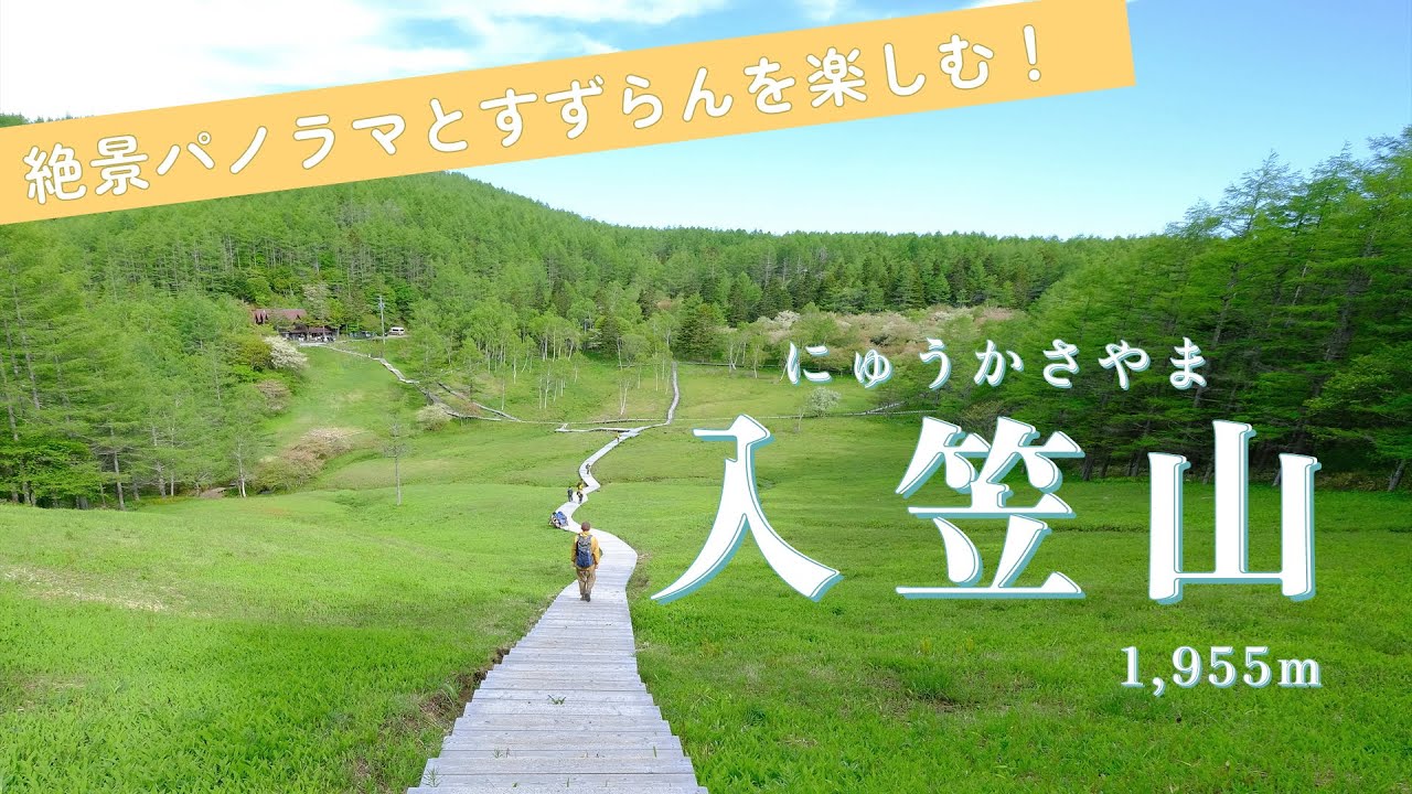 【 長野県・ 登山 】 すずらんを楽しむ 入笠山　沢入登山口からの日帰り登山