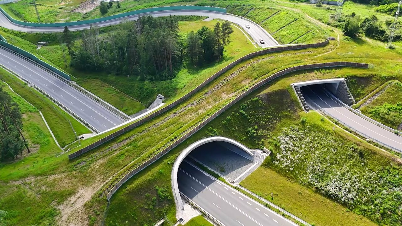 Městský okruh, úsek Křimická (Chebská) – Karlovarská v Plzni