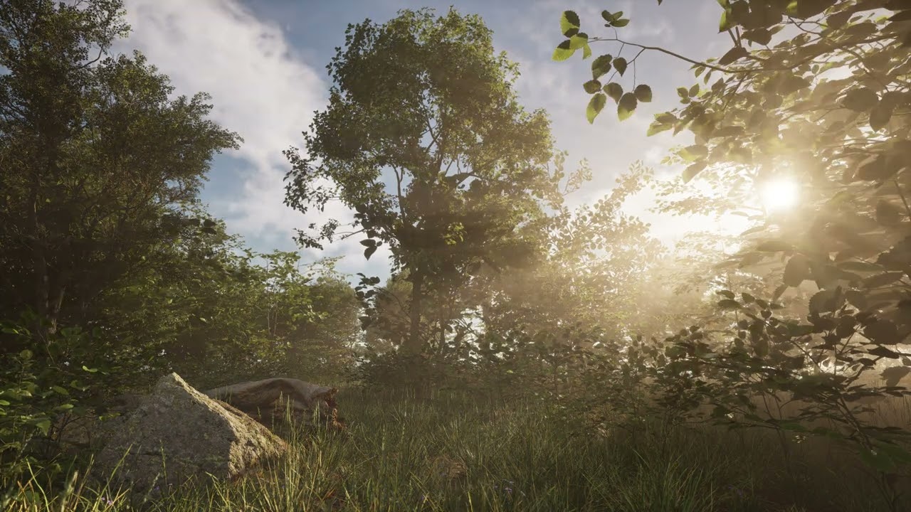 Realistic Nature Environment in Unreal Engine 5 (Real-Time Timelapse)