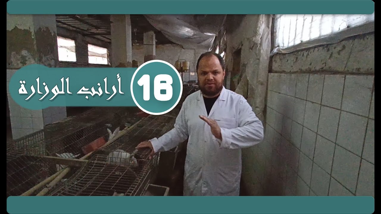 ❉ الحلقة رقم ( 16 ) 🐰 علاج الإسهال بأنواعه وطرق الوقاية منه 🐰