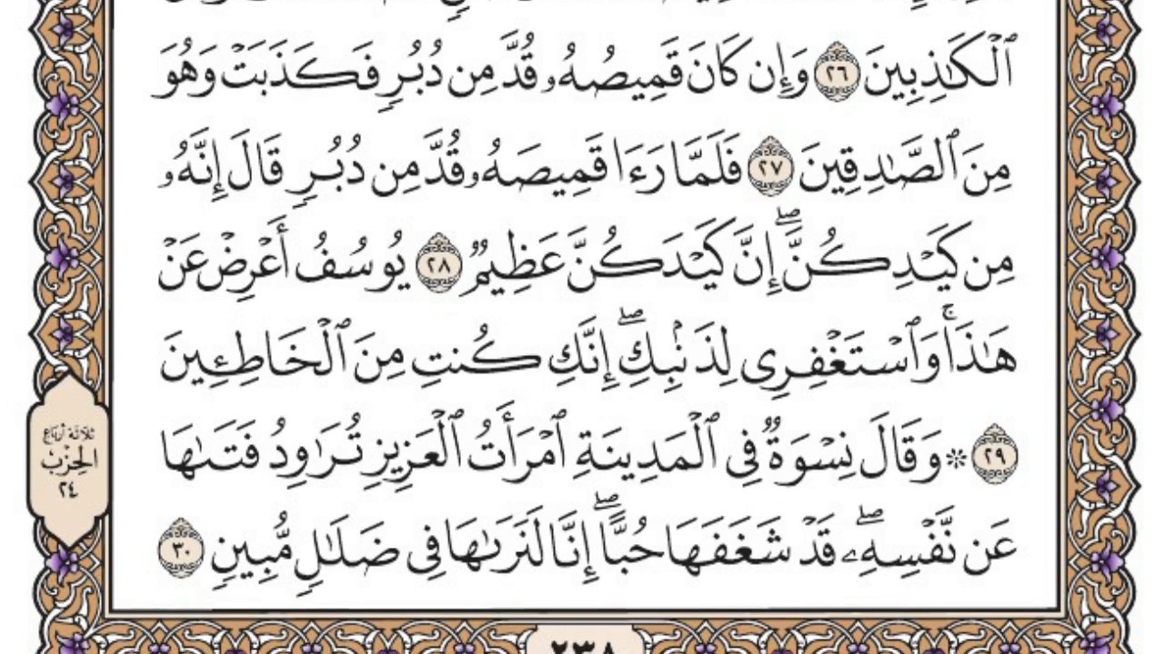 سورة يوسف مكتوبة / محمد أيوب