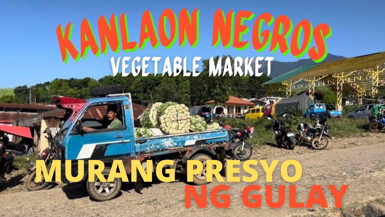 KANLAON NEGROS VEGETABLE MARKET | MURANG PRESYO NG GULAY | SOLLE'S GANDANG BUHAY