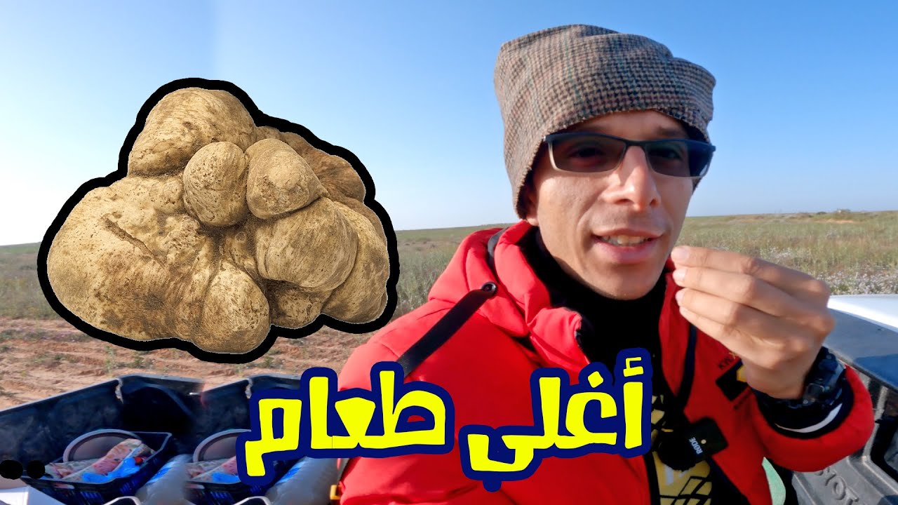 الكمأ .. شفاء للناس و طعام الأثرياء