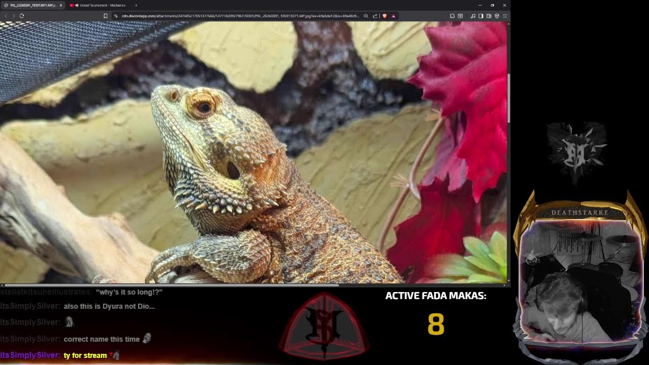 MHFZ road to Dark Pulse | Monster Hunter Boss Marathon Prep