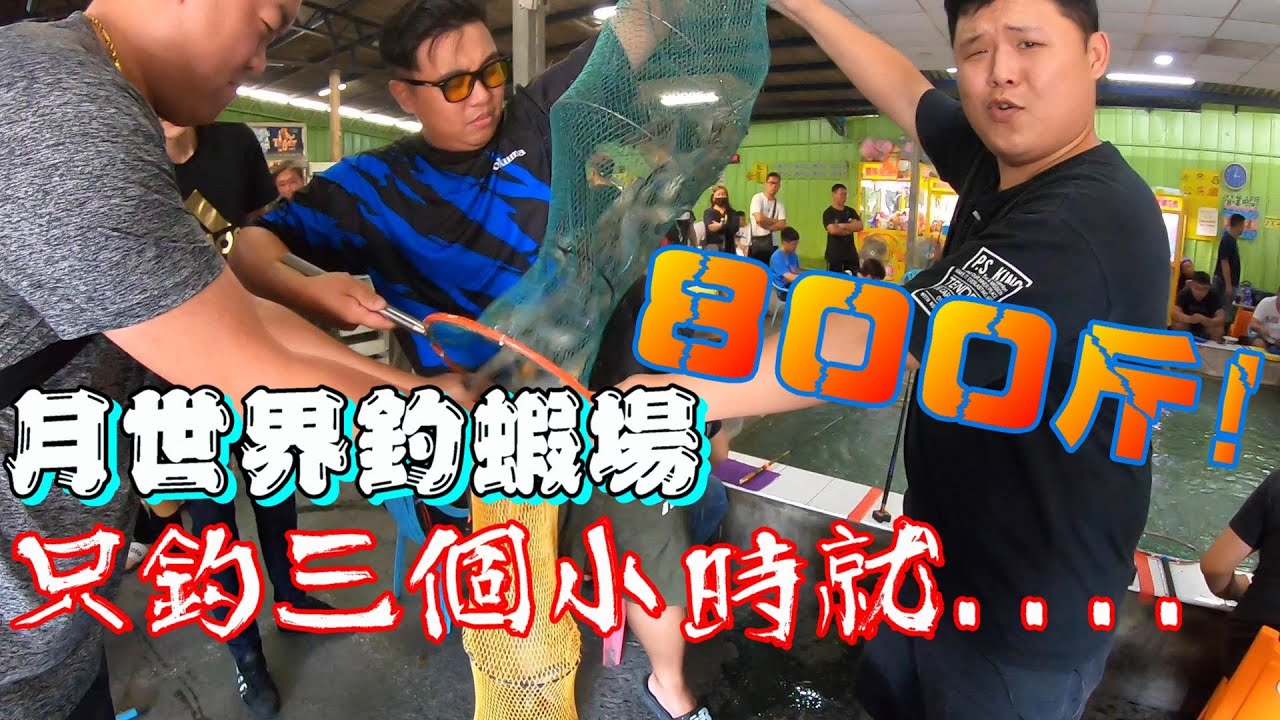 月世界釣蝦場大放驚人的800斤泰國蝦!一隻一隻不斷的拉上來!爽死了!