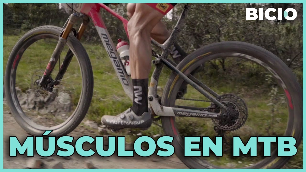 MÚSCULOS QUE ENTRENAS EN LA BICICLETA DE MONTAÑA