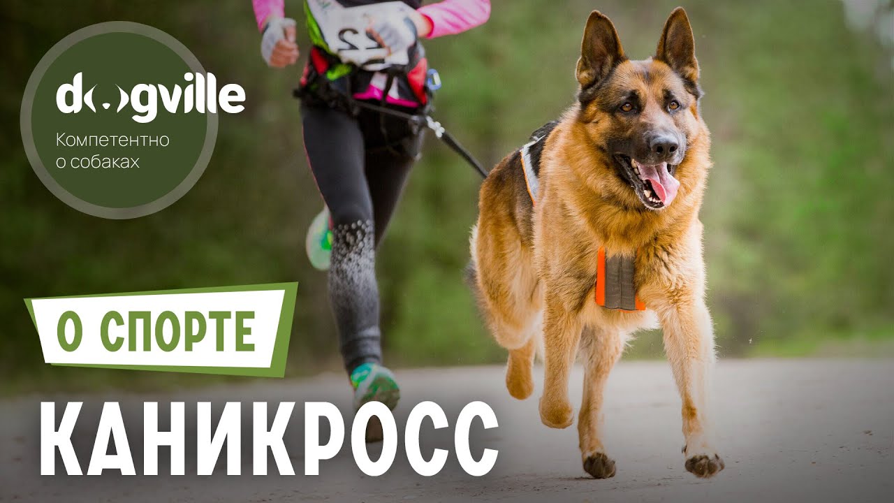 Каникросс &ndash; О спорте