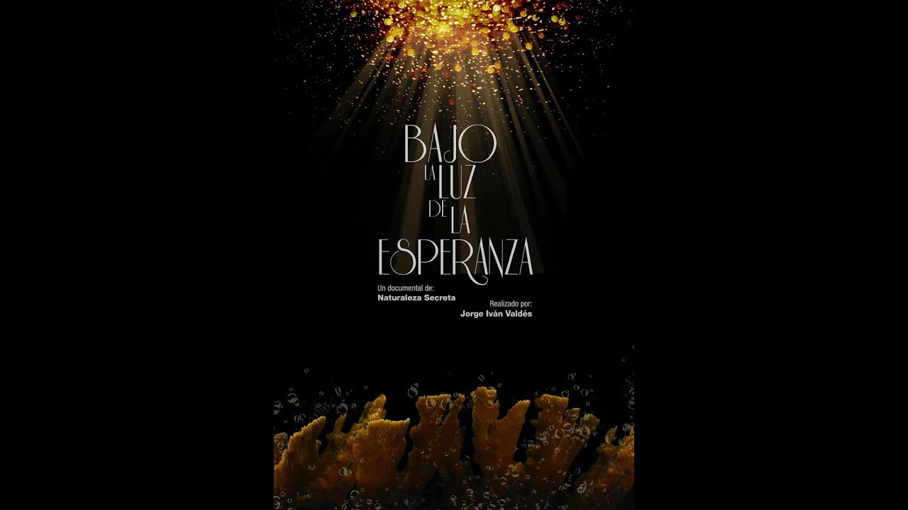 Bajo la luz de la esperanza