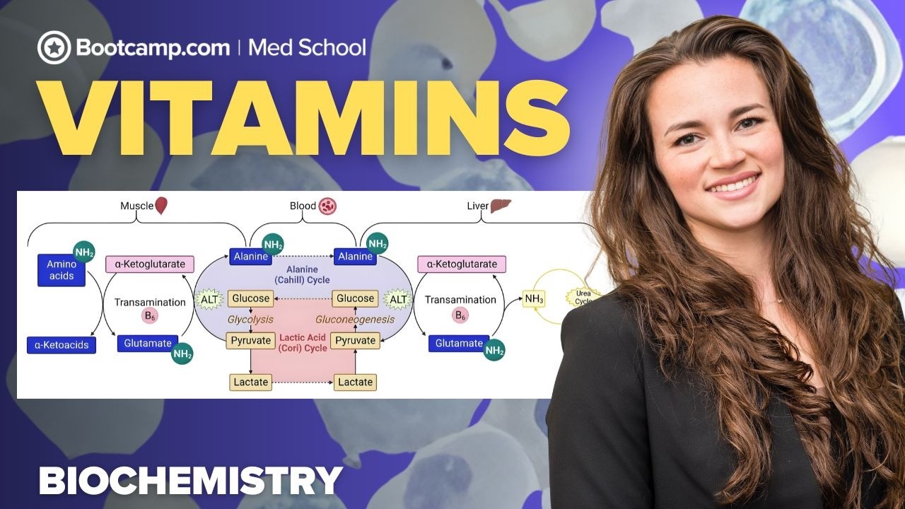 Biochemistry Chapter 12 | Vitamins: A, D, E, K and B | Step 1 Rapid Review
