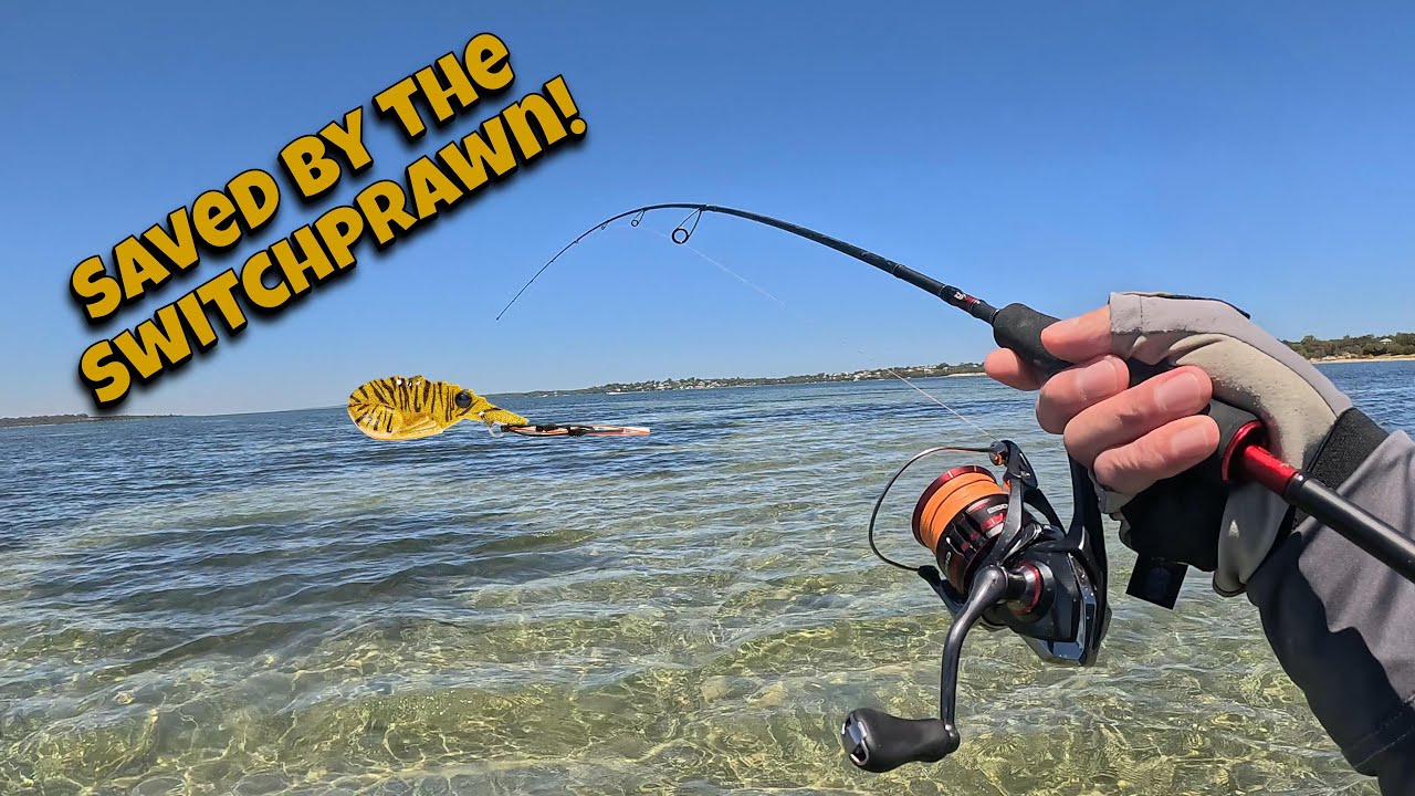 Saved by the Switchprawn!