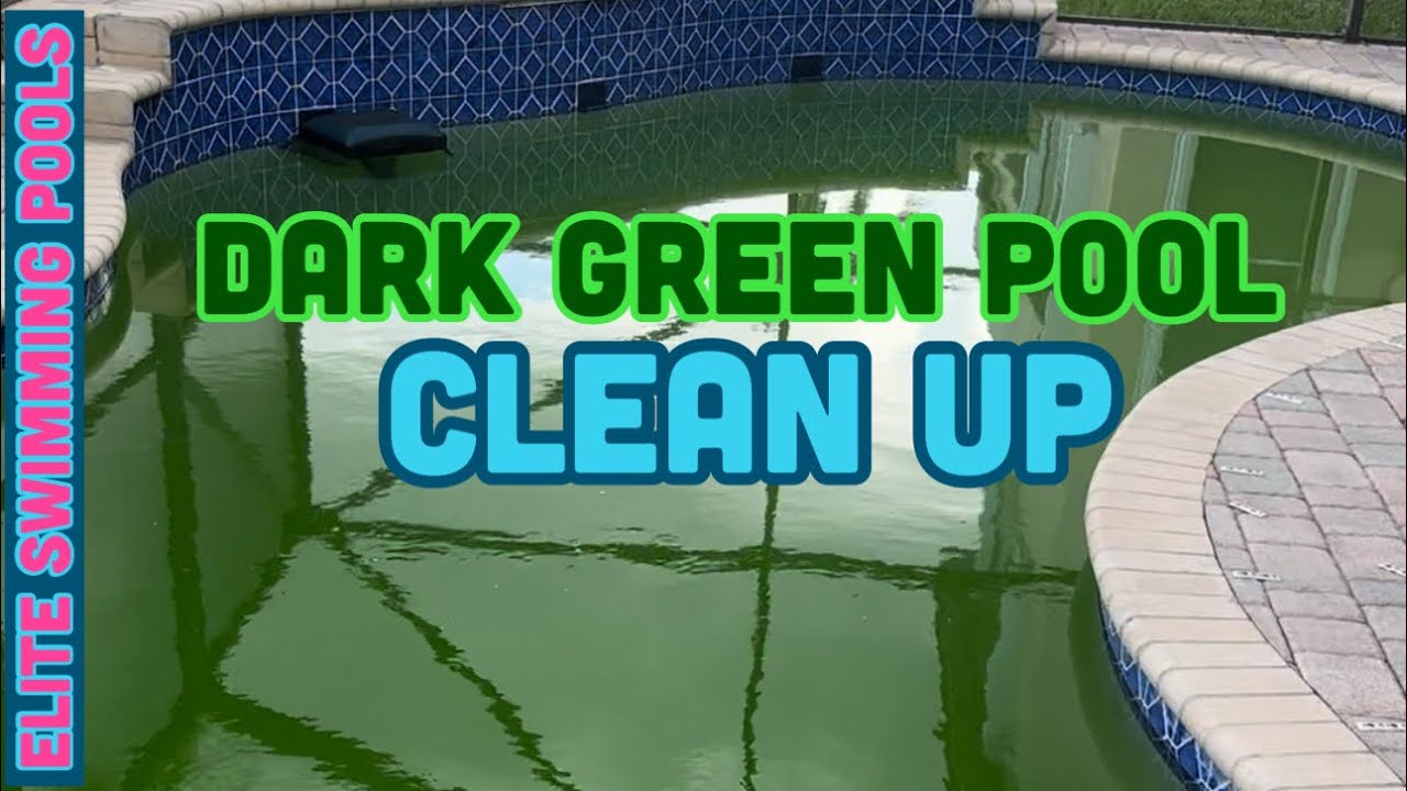 DARK GREEN POOL CLEAN UP PROCESS.