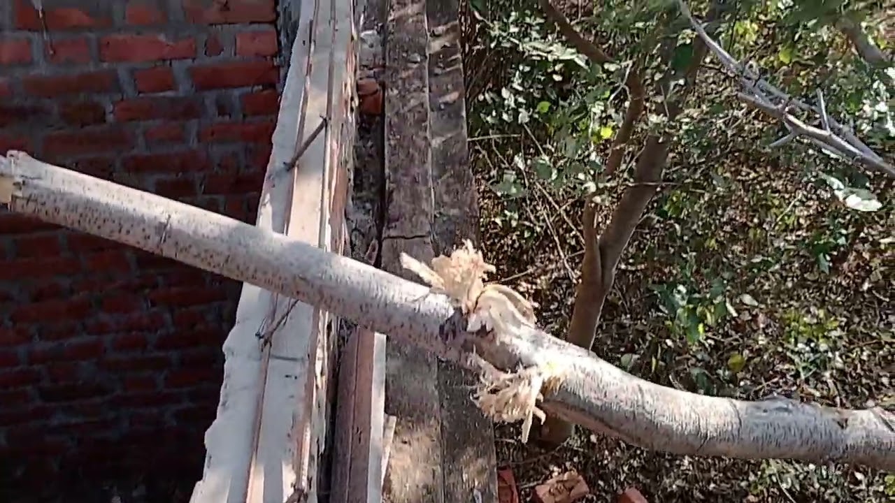 Khar me beem padte huye