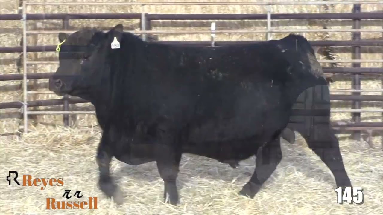 Reyes Russel Lot 145