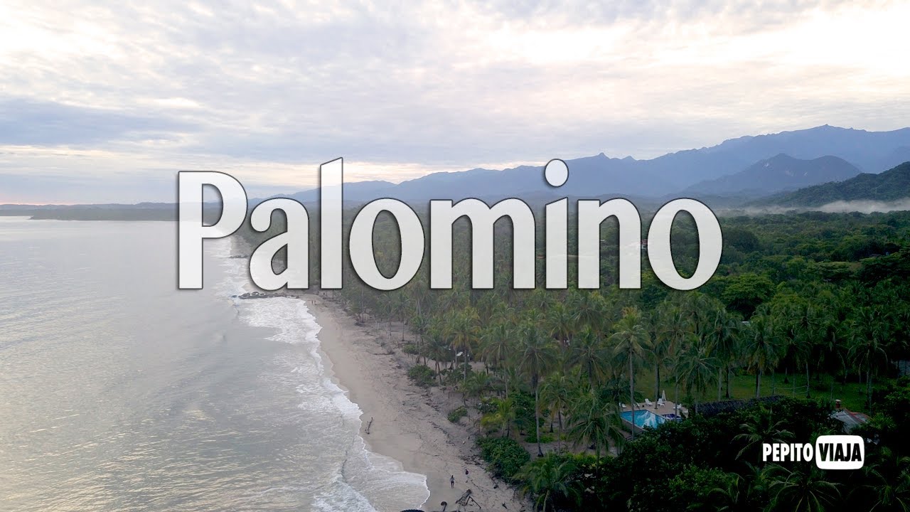 PALOMINO en la NUEVA NORMALIDAD | Pepito Viaja 🇨🇴
